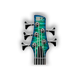 5-String Bass Guitars