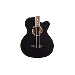 Acoustic Bass Guitars