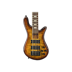 Electric Bass Guitars