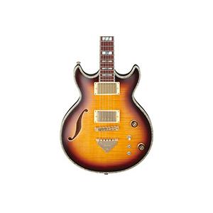 Hollowbody Guitars