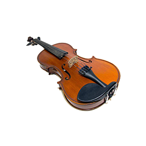 Orchestral String Instruments