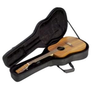 Guitar Cases & Bags