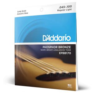 Acoustic Bass Strings