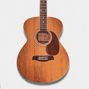 Guitars