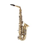 Selmer SAS301 Premium Student E♭ Alto Saxophone