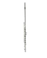Selmer SFL301 Premium Student Concert Flute in C - Closed Hole