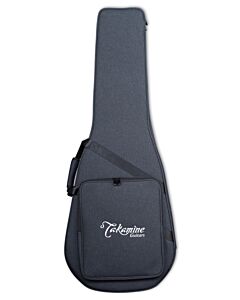 Takamine SH200A Dreadnought Guitar Case