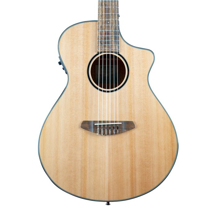 Breedlove Discovery S Concert Nylon CE  - 6 String Acoustic Electric Guitar