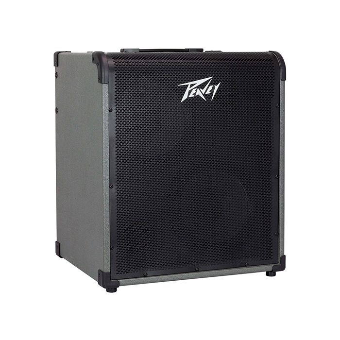 Peavey MAX300 300-Watt Bass Combo Amp