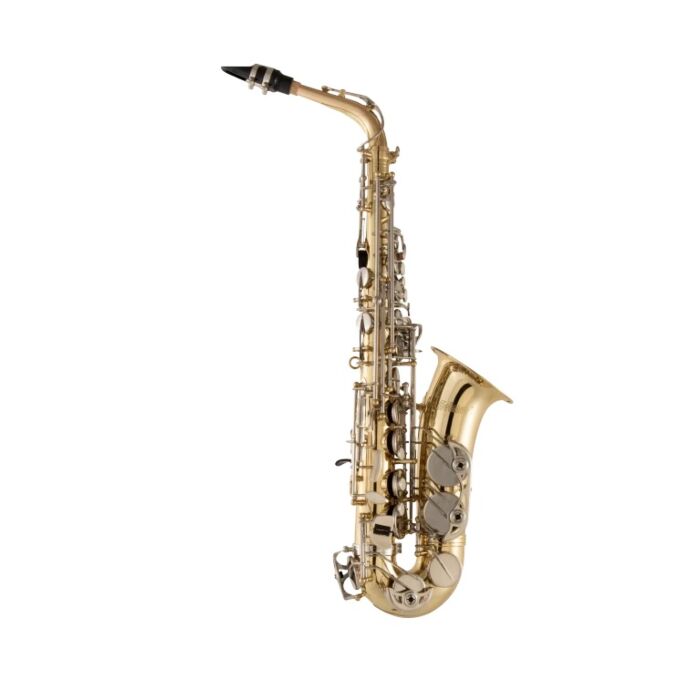 Selmer SAS301 Premium Student E♭ Alto Saxophone