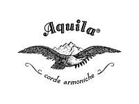 Aquila